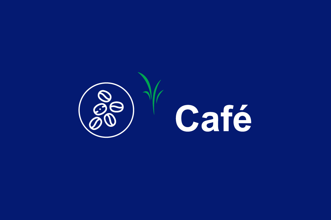 cafe-dland-2.png