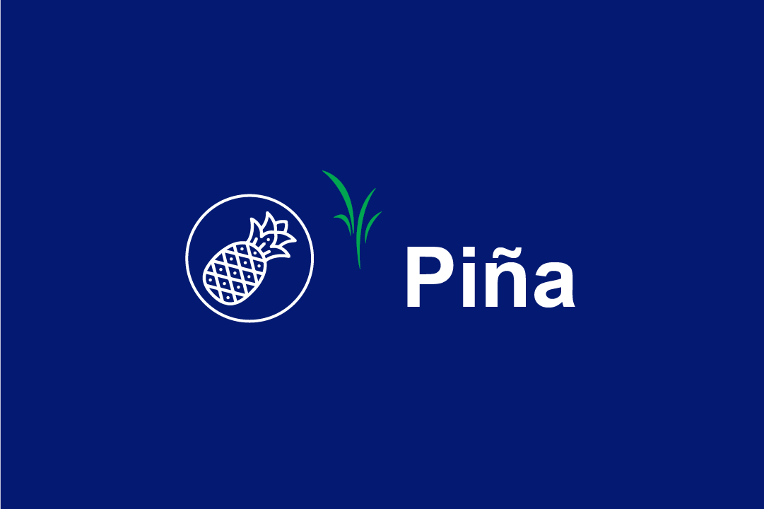 pina-dland.png