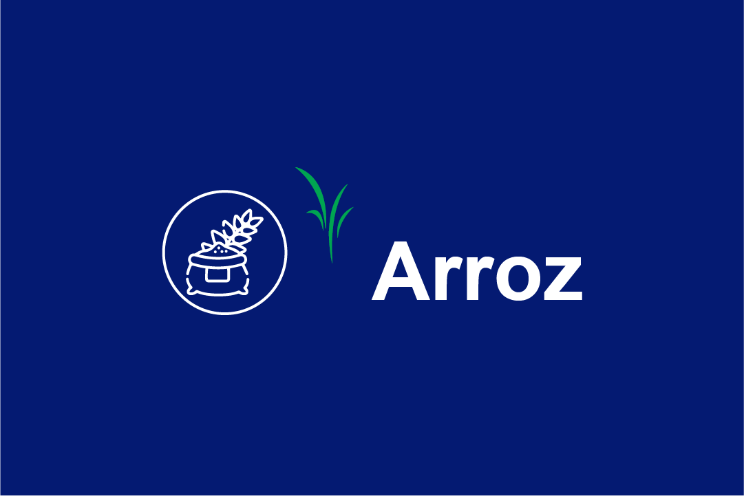 arroz-dland.png